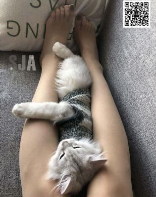 韩国电影朋友的妹妹_高清电影完整版在线观看